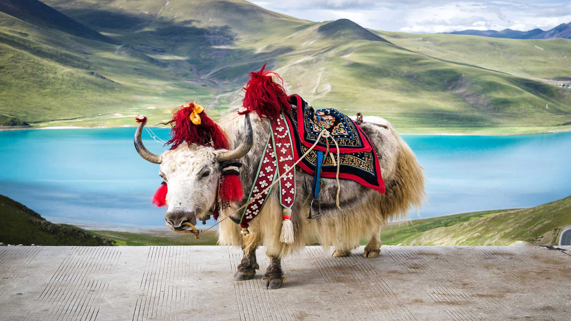Nepal, Tibet and Bhutan